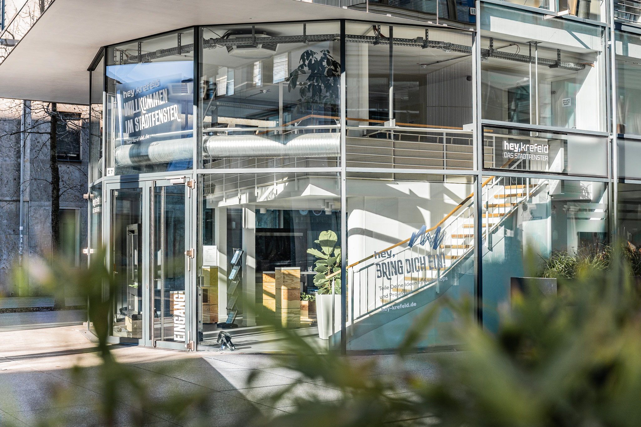 Außenansicht durch Pflanzen auf das Stadtfenster